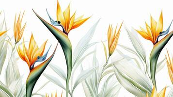 Seamless pattern of Bird of Paradise flower in watercolor style isolated on white background. Bird of Paradise flower texture background. Generative AI photo