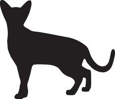 Mysterious cat silhouette or vector