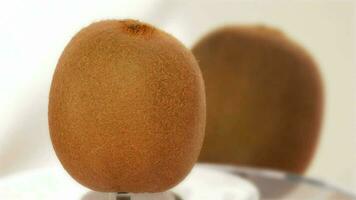 kiwi fruit tournant. boucle video