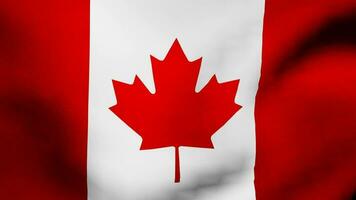 velho Canadá bandeira acenando video