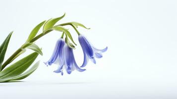 Photo of beautiful Bluebell flower isolated on white background. Generative AI