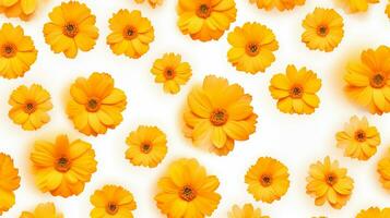 Calendula flower pattern background. Flower background texture. Generative AI photo