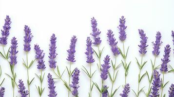 Lavender flower patterned background. Flower texture background. Generative AI photo