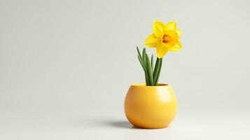 Photo of Daffodil flower in pot isolated on white background. Generative AI