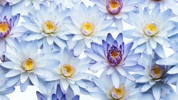 Water Lily flower patterned background. Flower texture background. Generative AI photo