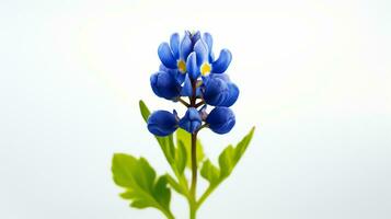 Photo of beautiful Bluebonnet flower isolated on white background. Generative AI