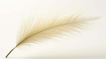 foto de hermosa pluma Junco césped flor aislado en blanco antecedentes. generativo ai