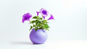 Photo of Morning Glory flower in pot isolated on white background. Generative AI