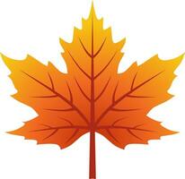Maple leaf vector icon for autumn celebration. Fall season maple icon for cozy or hygge design graphic. Autumn leaf vector for symbol, sign, decoration or graphic resource. Mid autumn festival icon