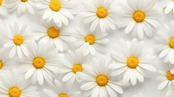 Daisy flower patterned background. Flower texture background. Generative AI photo