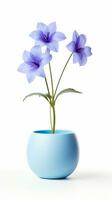 Photo of Balloon flower in pot isolated on white background. Generative AI