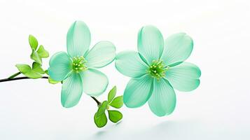 Photo of beautiful Chrysopsis flower isolated on white background. Generative AI