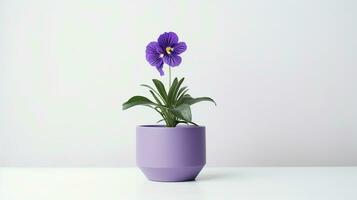 Photo of Spiderwort flower in pot isolated on white background. Generative AI