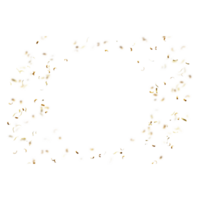 realistic gold celebration confetti on transparent background png