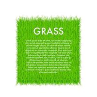 Circle With Grass, Green grass background. Frame. Vector stock Illustration