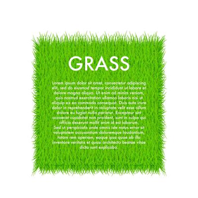 Circle With Grass, Green grass background. Frame. Vector stock Illustration
