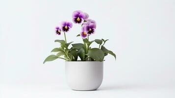 Photo of Pansy flower in pot isolated on white background. Generative AI