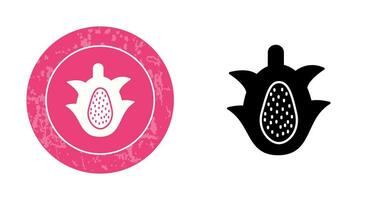 Dragon Fruit Vector Icon