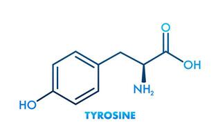 Tyrosine formula, great design for any purposes. Tyrosine formula. vector