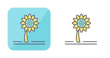 Sunflower Vector Icon