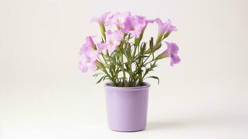 foto de lisianthus flor en maceta aislado en blanco antecedentes. generativo ai