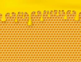 Honeycomb and honey. Monochrome honey pattern. Vector stock illustration