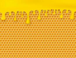 Honeycomb and honey. Monochrome honey pattern. Vector stock illustration