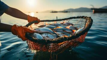 sostenible pesca. un pescador sostiene un red con Fresco foto