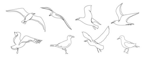 One line seagull hand drawn set. Outline seagull flying. Hand drawn minimalism style vector illustration. Beautiful sea life design elements.