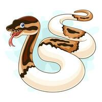 Cartoon pied ball python snake isolated on white background vector