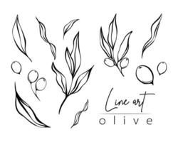 Set of botanical line illustration of olive leaves, branch for wedding invitation and cards, logo design, web, social media and posters template. Elegant minimal style floral vector isolated.