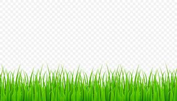 Green Grass Border, field lawn. Vector stock Illustration