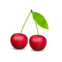 Ripe red cherry berries with leaves. Vector stock illustration