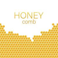 Honeycomb monochrome honey pattern on white background. Vector stock illustration