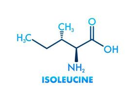 Isoleucine amino acid. Chemical molecular formula. Vector illustration