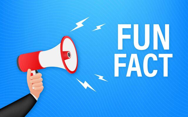Hand holding megaphone   Fun fact. Vector stock illustration