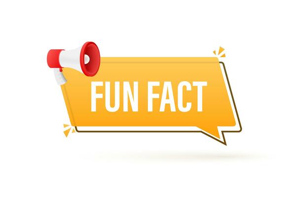 Megaphone banner   Fun fact. Vector stock illustration
