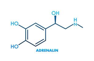 Adrenaline or adrenalin, epinephrine neurotransmitter molecule. Skeletal formula.Vector illustration. vector