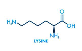 Lysine formula, great design for any purposes. Essential Amino Acid simple skeletal formula vector