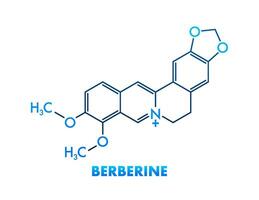 Berberine concept chemical formula icon label, text font vector illustration.