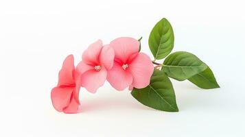 foto de hermosa impatiens flor aislado en blanco antecedentes. generativo ai