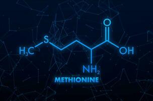 Icon with methionine formula. Amino acid molecule. vector