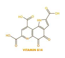 Structural formula of vitamin B14 on a white background. Vector illustration.