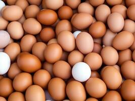 close up eggs in the box photo