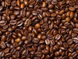 coffee beans background close up photo