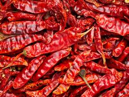 red hot pepper in market photo