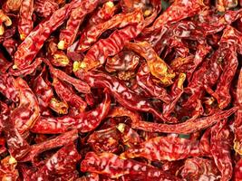 red hot pepper in market photo