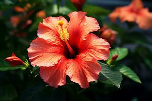 brillante grande rojo flor de hibisco. rosado hibisco flor olor planta para aroma floral. tropical Rosa hibisco flor aislado. ai generado foto