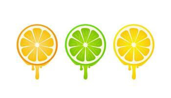 Banners with fresh citrus fruit on a white background. Vector illustration.