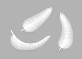 fluffy feather with shadow vector realistic set isolated on transparent background